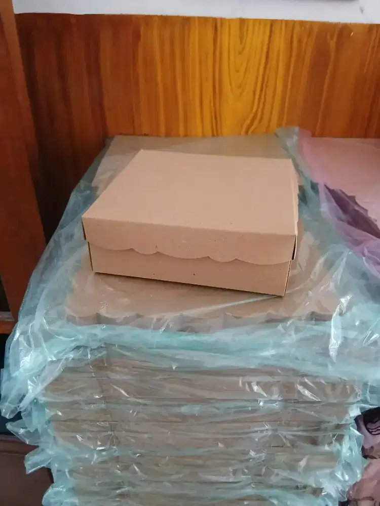 Dus Kotak Nasi R10 Kraft Gramasi 350gr Motif Polos Tebal