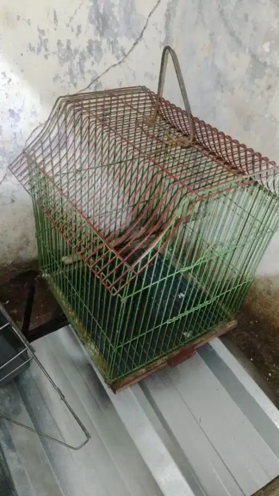 Kandang Burung Besi