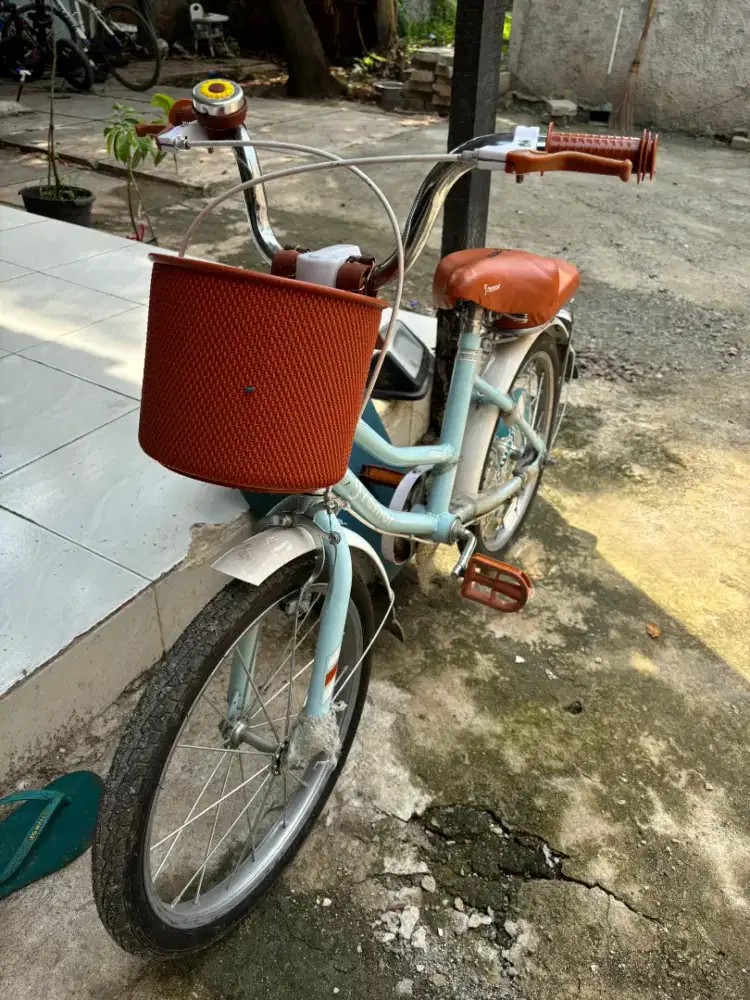 Sepeda anak perempuan 18