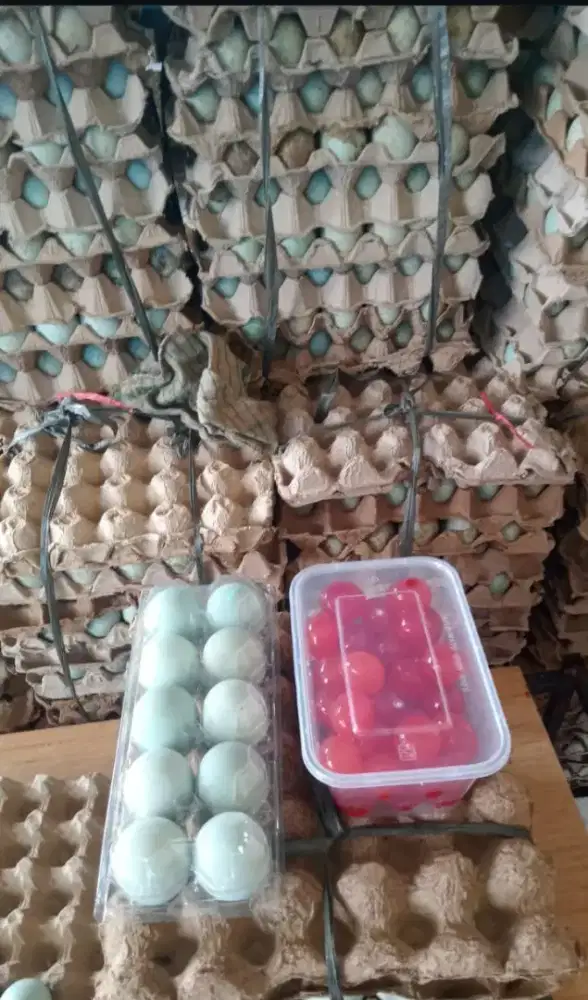 Telor asin mateng selalu fresh asinnya pas bikin nagih