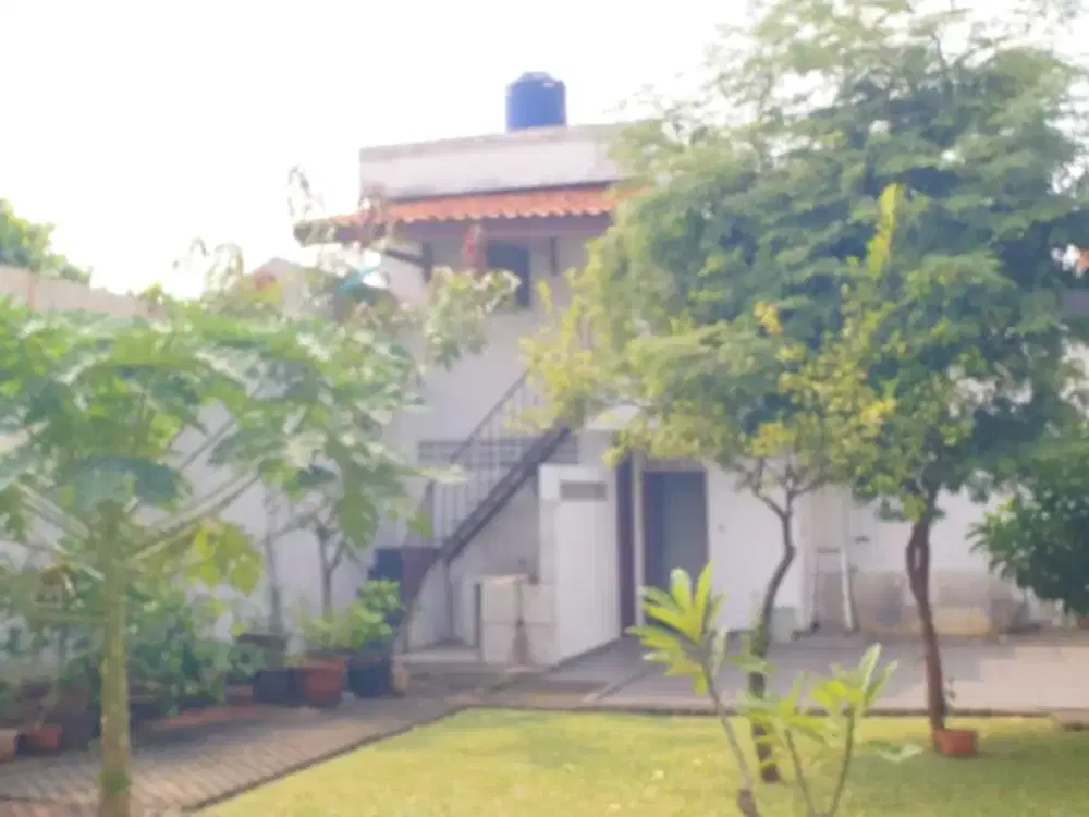 Rumah Mewah Tropical Clasic old Money Kemang Di bawah Harga pasaran