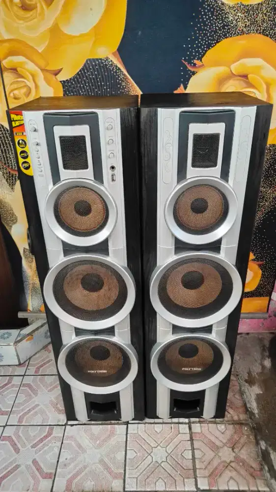 Salon polytron pas28 blutut usb