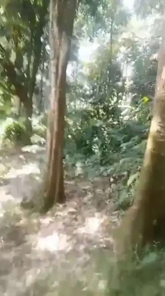 Di jual lhan tanah kebun durian lt 4100 mtr ss SHM sudah produktip