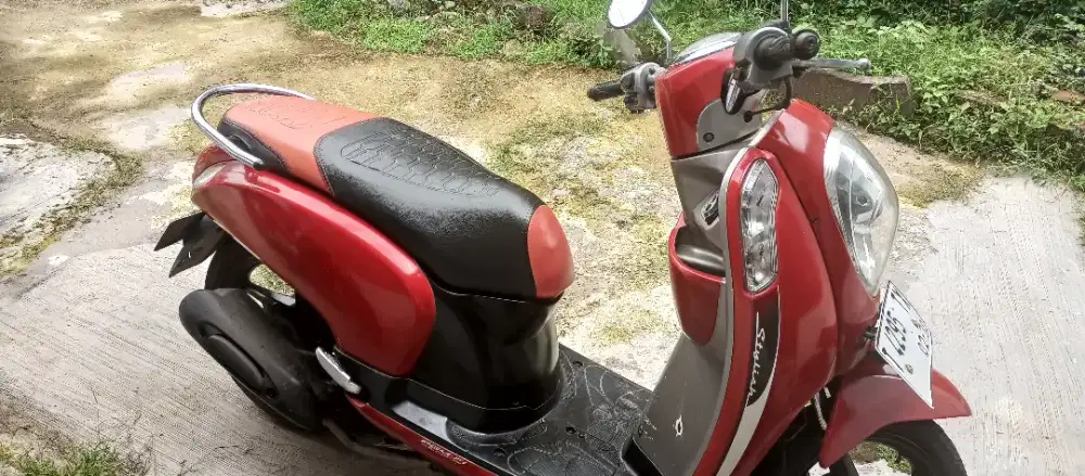 Scoopy injection mulus