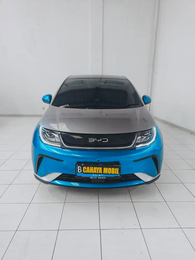 BYD Dolphin Premium 2024