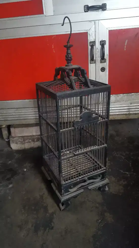 Kandang Burcil Pleci Sogon Kolibri