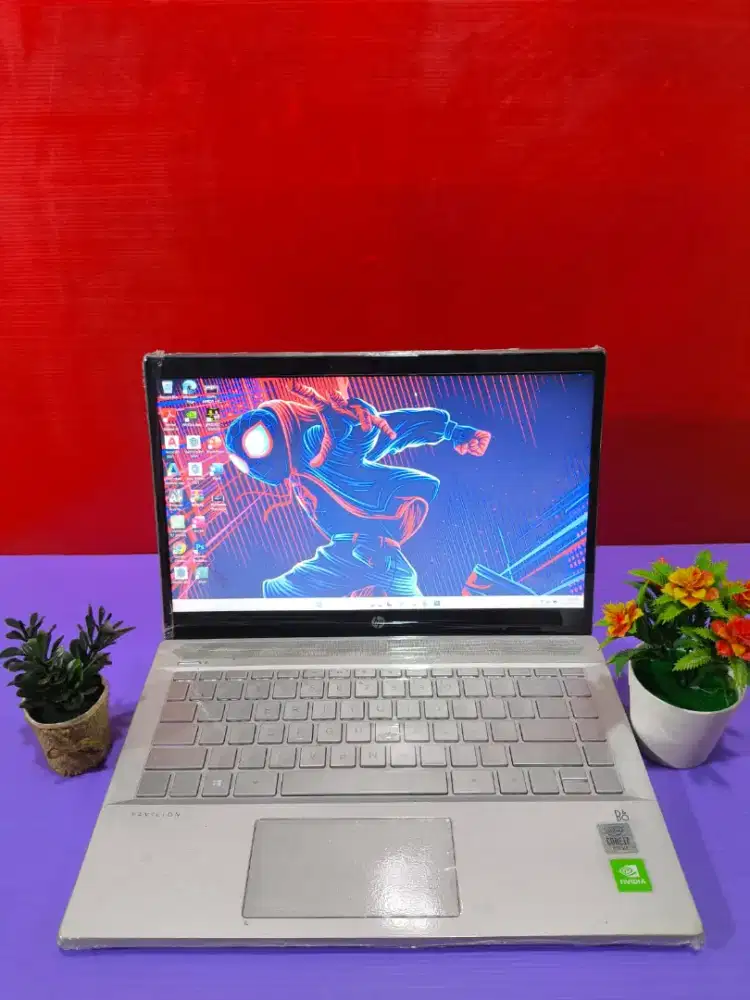 HP Pavilion 14-ce3013TX BEZELESS [RAM 8Gb SSD]