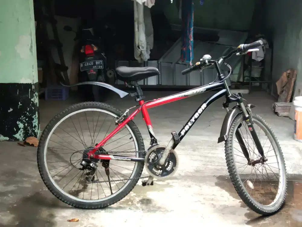 Sepeda gunung polygon