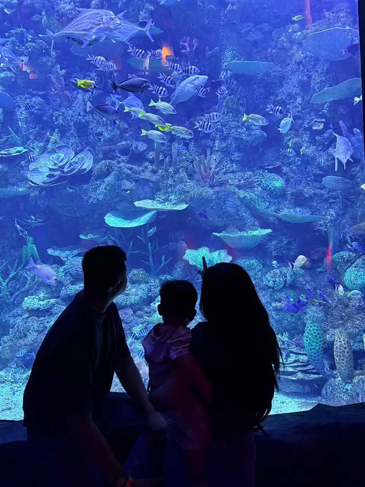 Dicari Art + Momong menginap