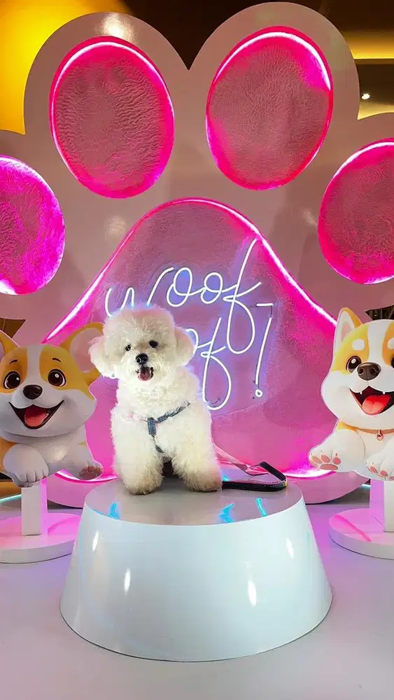 Lowongan kerja petshop