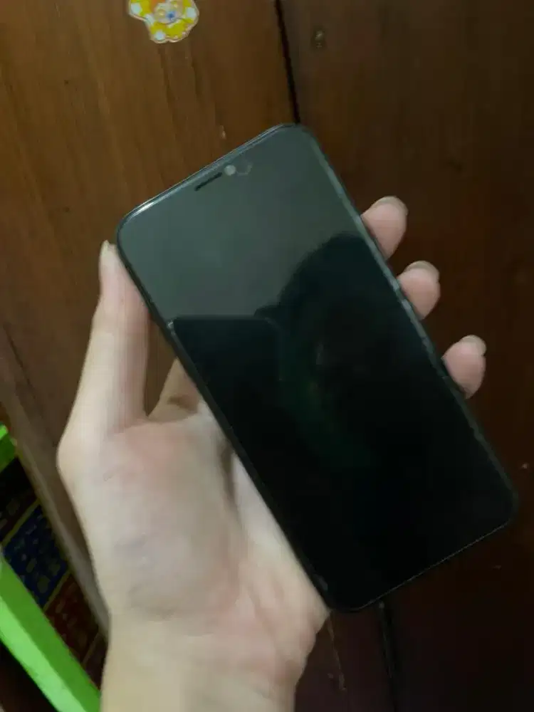 iPhone x 256gb ex Inter Mulus