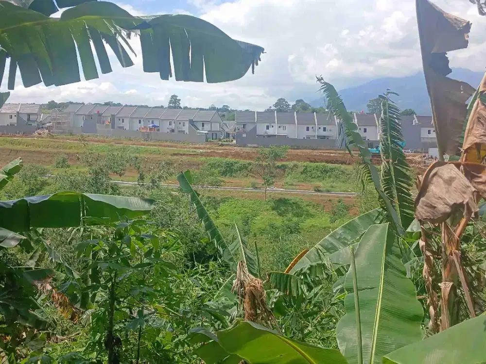 Dijual Tanah Tajur diBawah NJOP dekat Ke Pusat Kota Bogor