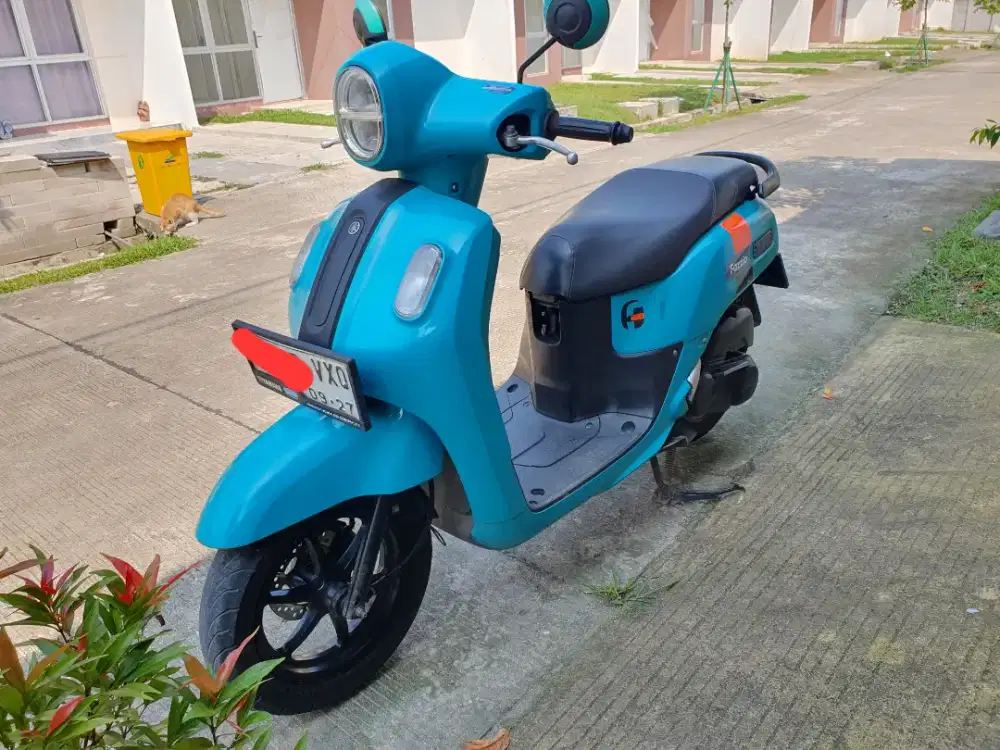 Fazzio 2022 hijau tosca