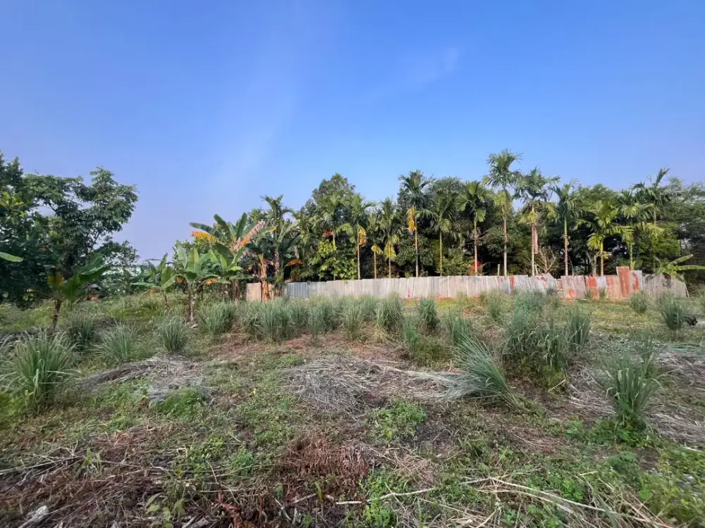 Jual tanah di Bagan Pete Kota Jambi