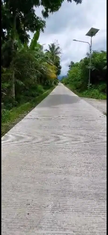 DIJUAL KEBUN SALAK/ TANAH