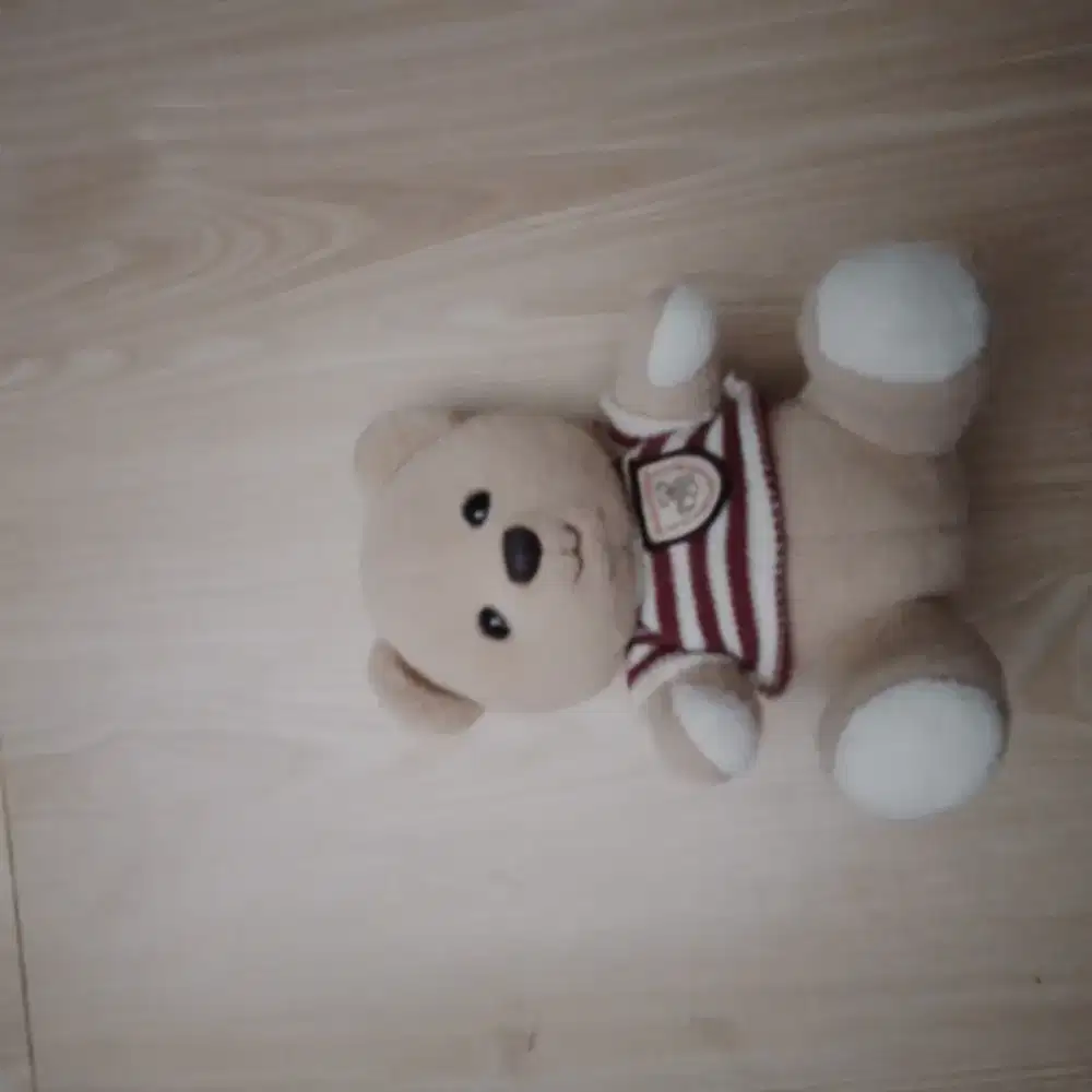 Boneka bear coklat