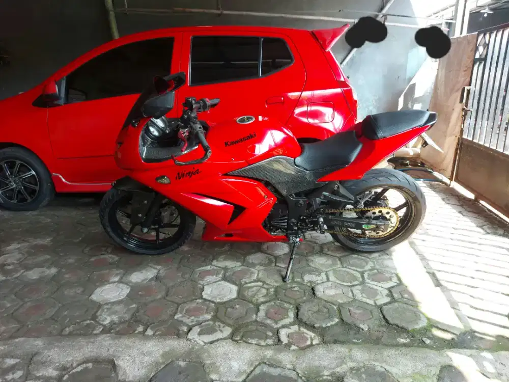 NINJA 250 R 2012 (KARBU)