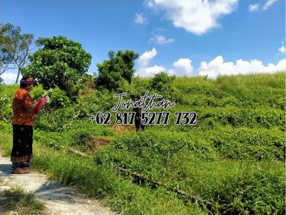 Tanah Dijual di Kaba-Kaba Tabanan dengan Pemandangan Sawah - LSYT