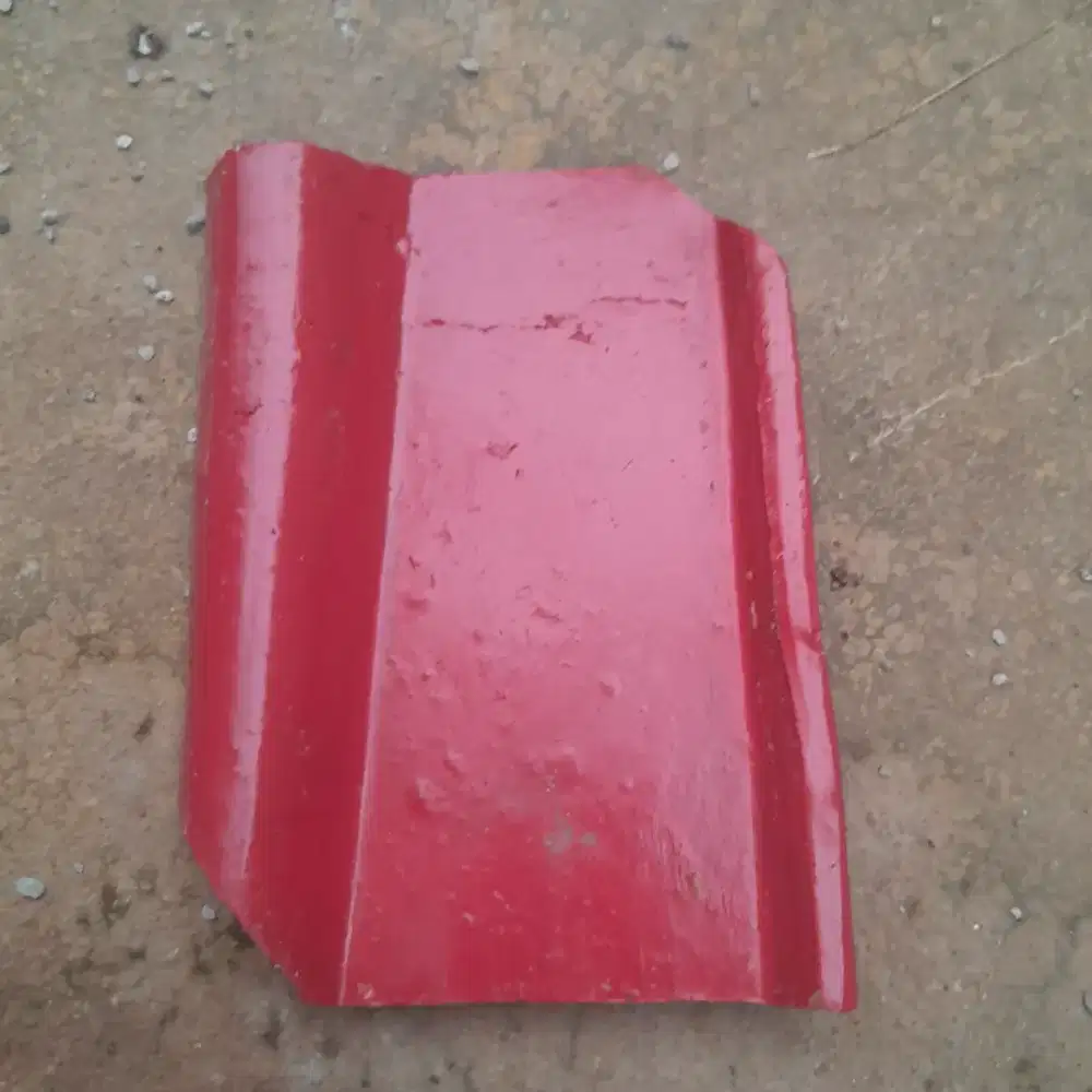 Genteng Kondisi Dicat