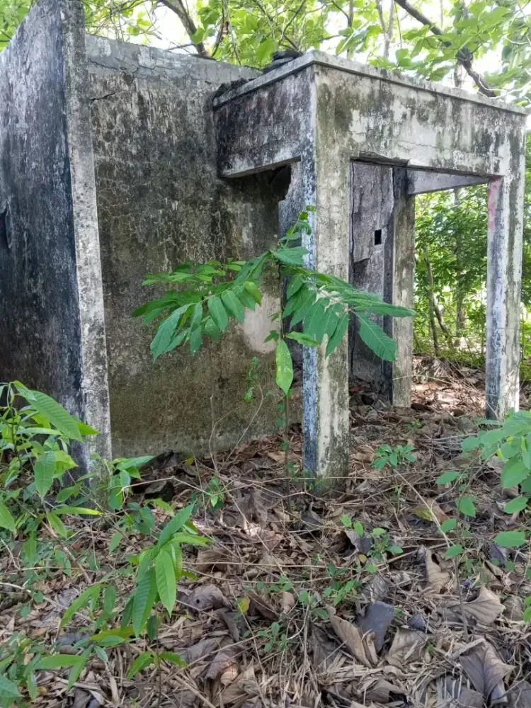 Rumah 50 jt Griya Indah Karangandong, Driyorejo, Gresik