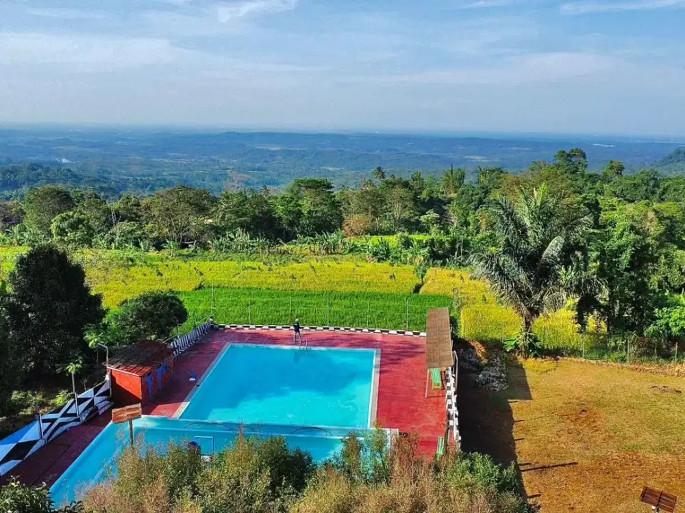 Tanah Kebun Gaharu + Villa + Sawah 1,3 ha di Kiarapedes Purwakarta