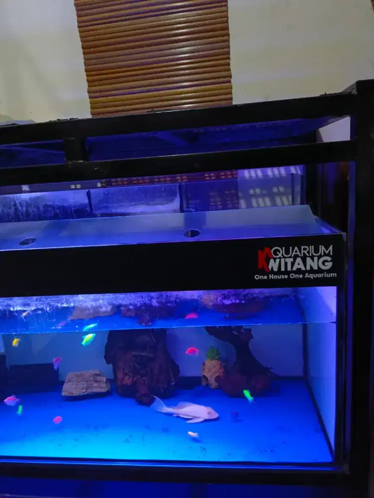 Di Juaaall.. Aquarium big.. Murah meriah aja jual rugi