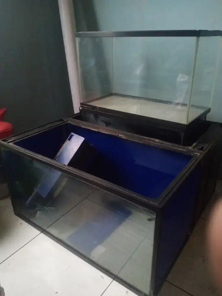 Aquarium bekas ikan hias