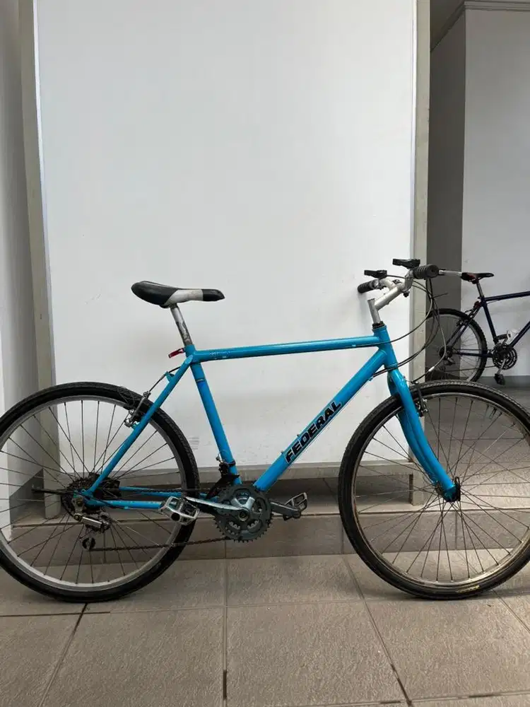 SEPEDAH FEDERAL / COMUTTER BIKE