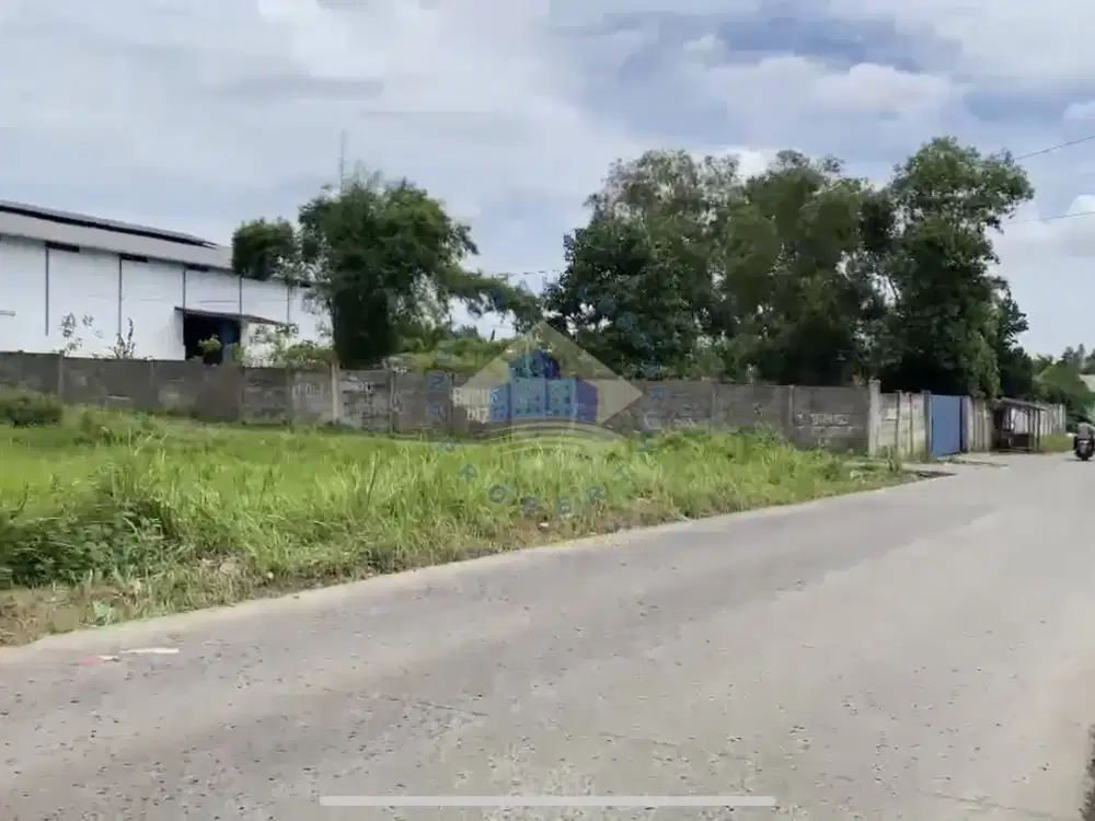 Di jual Tanah di jl raya singabangsa Tenjo - Bogor