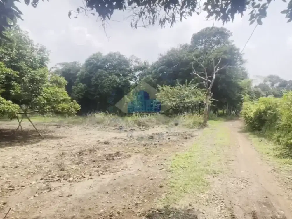 Dijual Tanah di Sukamulya, Rumpin, Bogor - Jawa Barat.