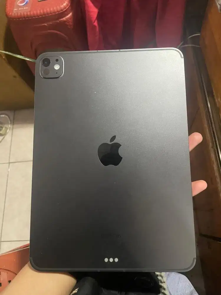 iPad pro 11inch M4 Wfi Cellular