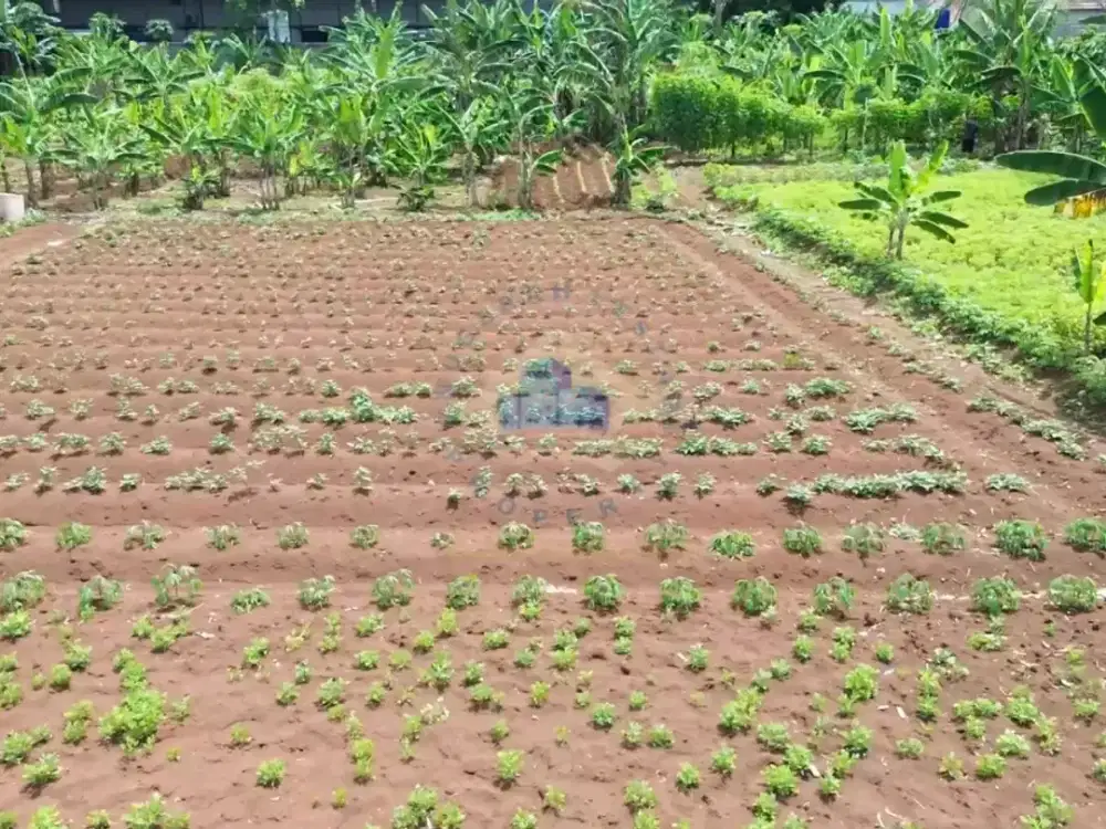 Dijual Tanah di Cisauk, Tangerang - Banten dekat dengan Stasiun Cisauk