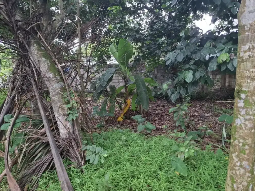 Dijual tanah komersil Mekarwangi, cisauk, Tangerang.