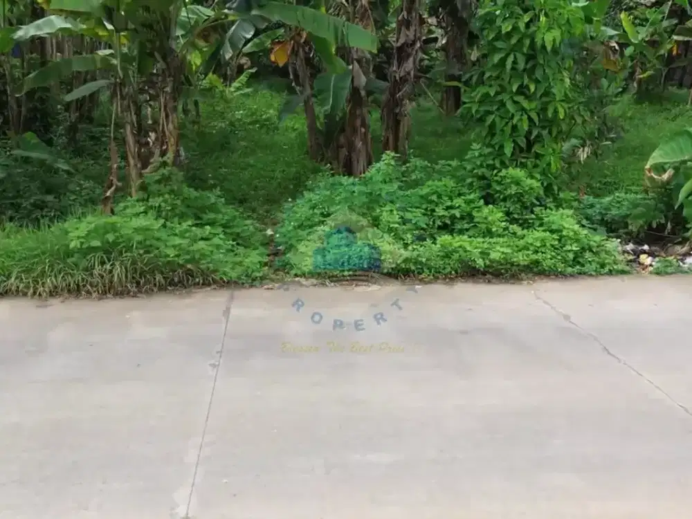 Tanah di Dangdang, Cisauk - Tangerang dekat dengan BSD