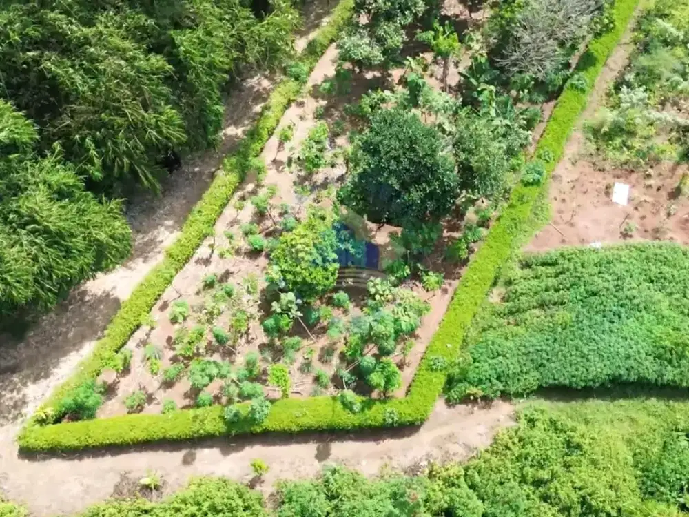 Dijual Tanah di Dangdang, Cisauk - Tangerang.