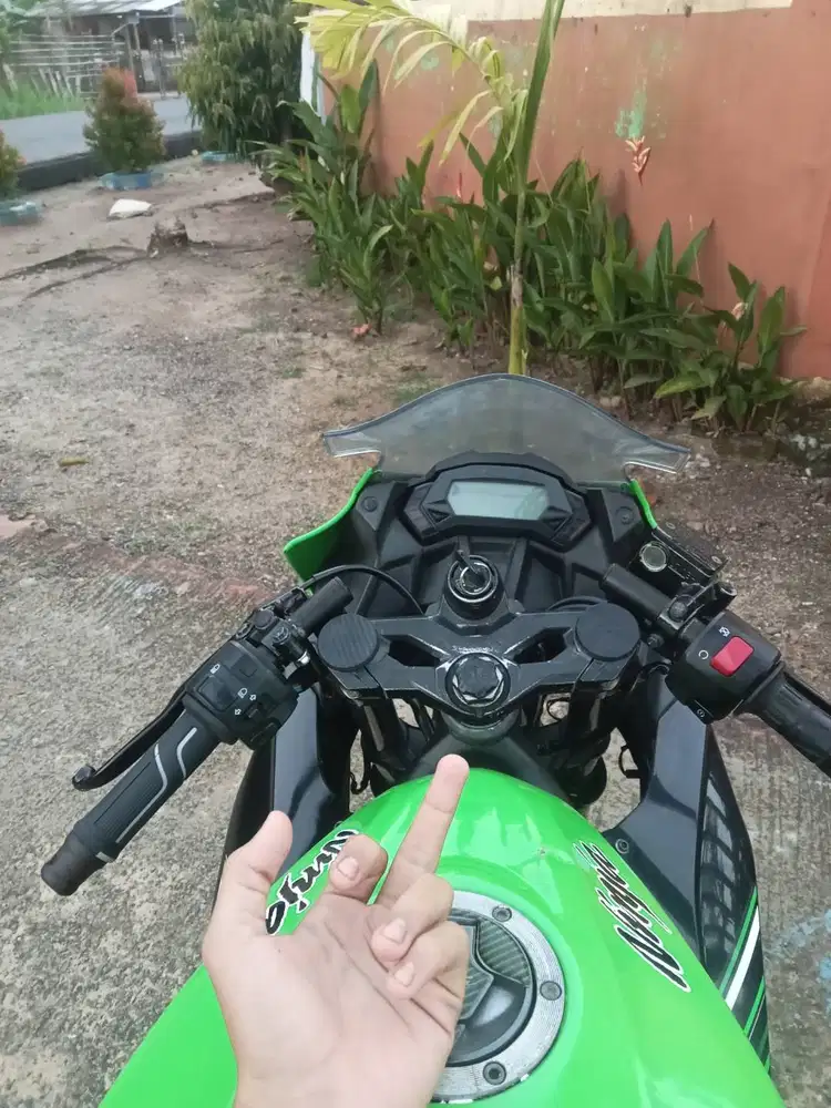 Ninja mono 250cc