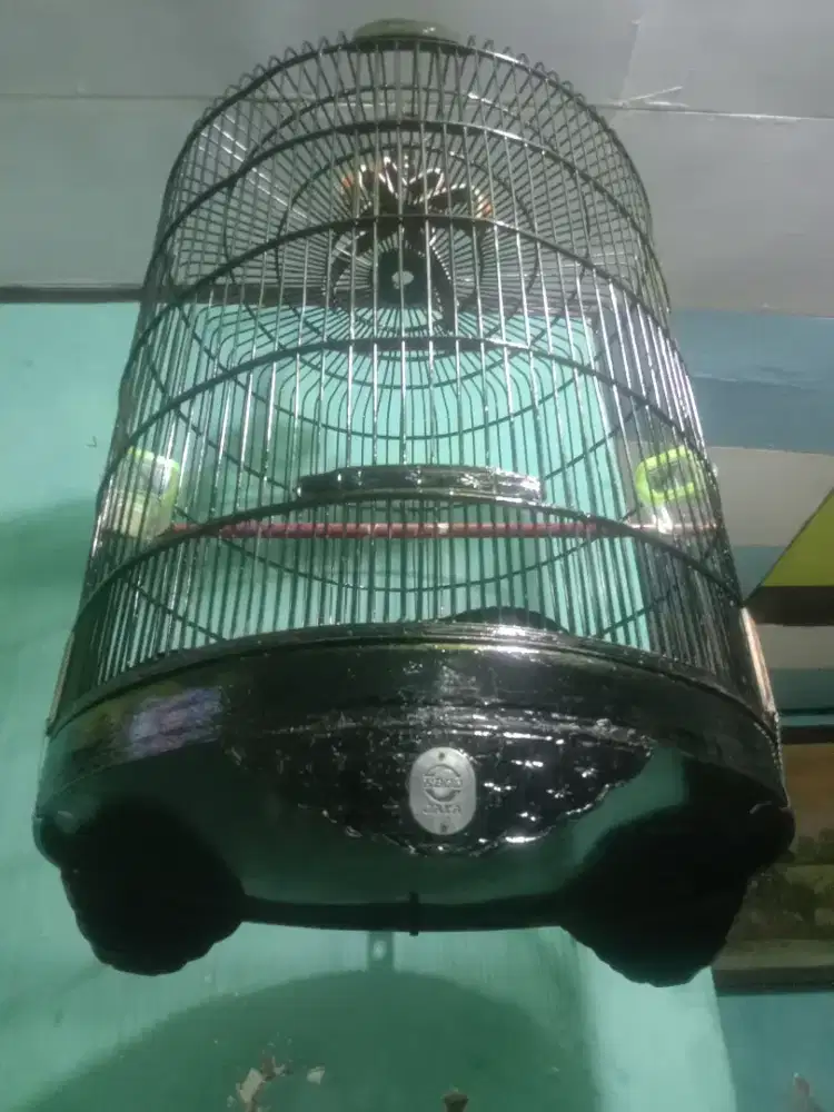 Merk Ebod layak pakai No 1 fulset plus krodong cepuk ada, tinggal pake