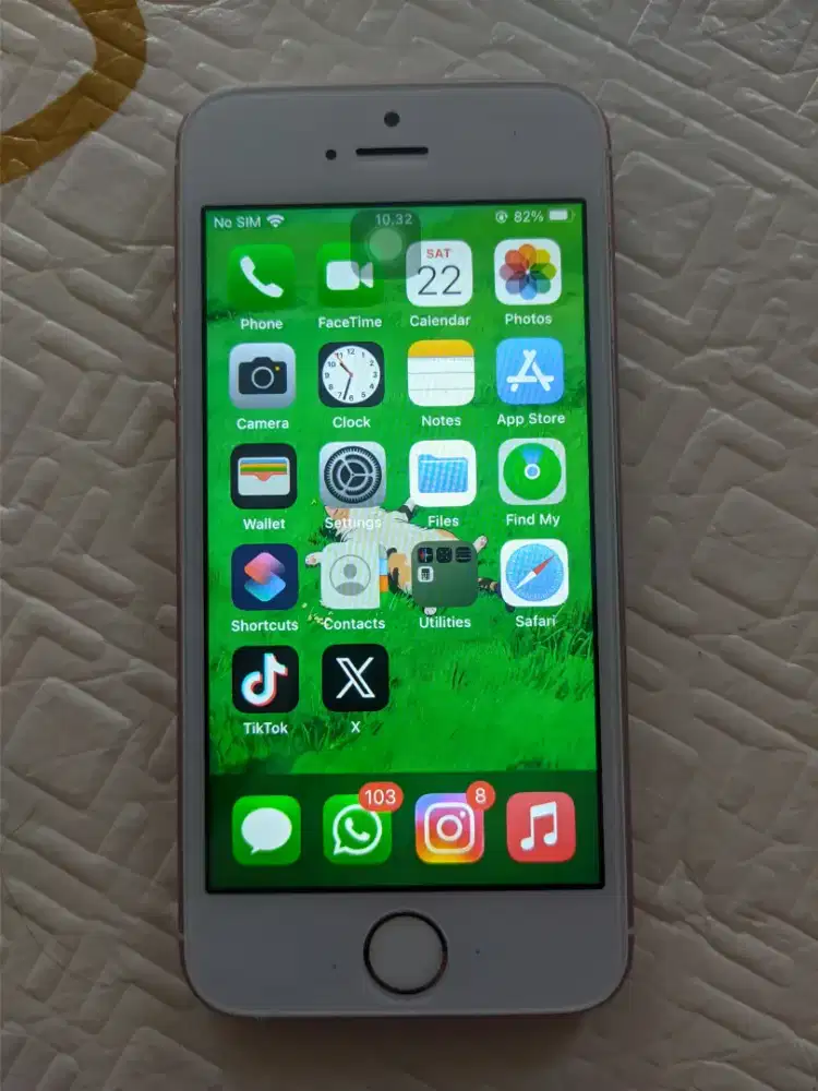 iPhone SE 1st Gen 2016