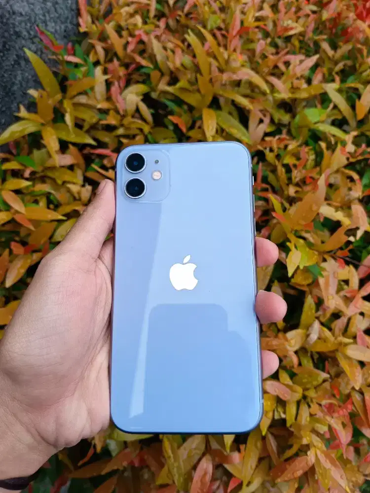 iPhone 11 64 GB iBox