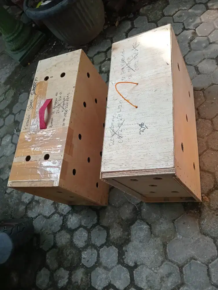 Box untuk kirim ayam