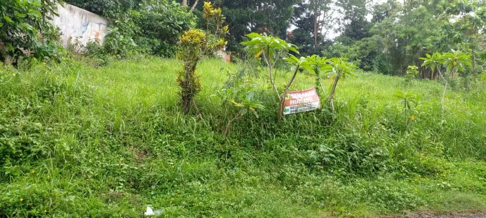 Disewa Tanah di Pisang Candi dekat Gor Rajabasa 800m2