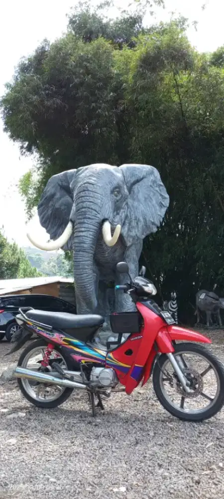 Supra x lama warna asli merah hitam