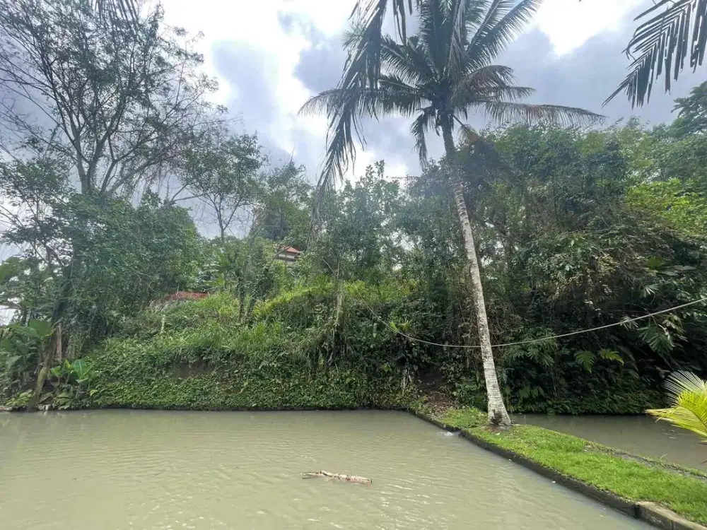 jual tanah Abiansemal Badung utara