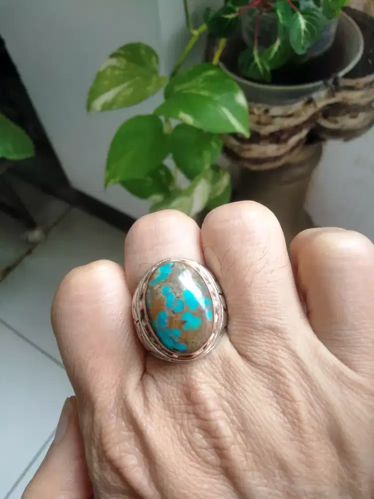 Pirus Persia blue Fancy. Dim 20.14 size : 8
