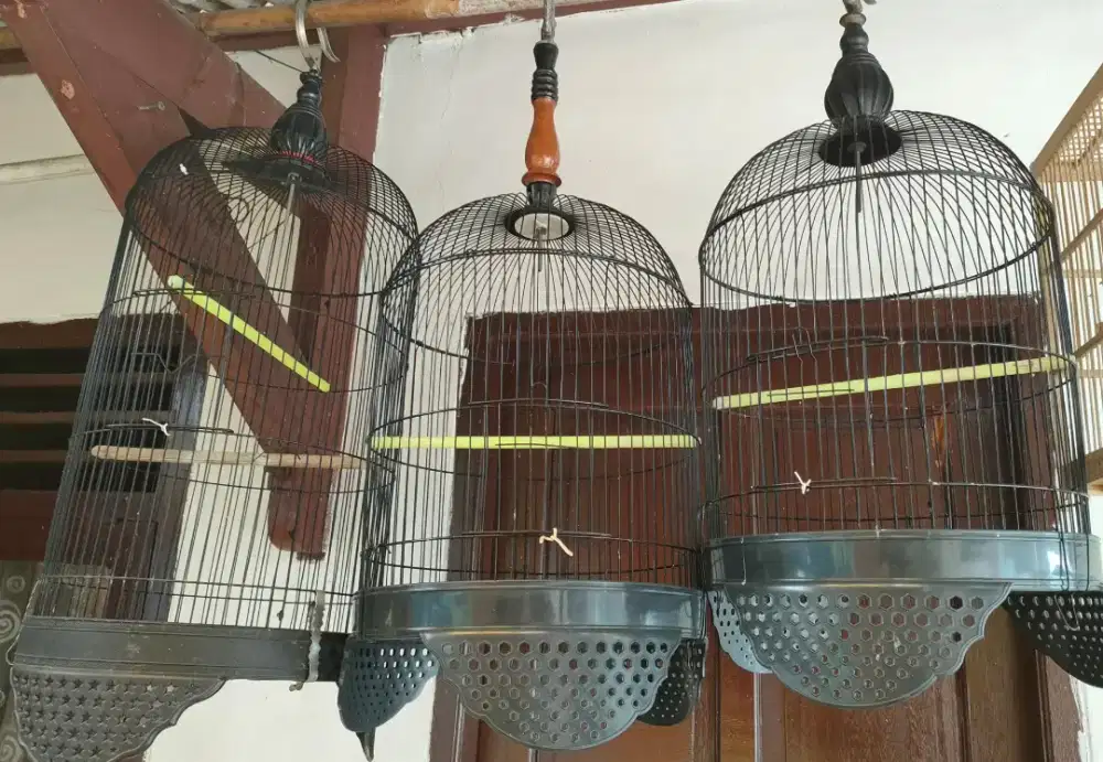 3 kandang kapsul 1 panjang 2 pendek