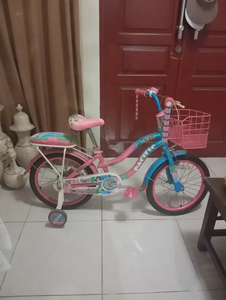 Sepeda Anak Pacific Powerpuff Girl