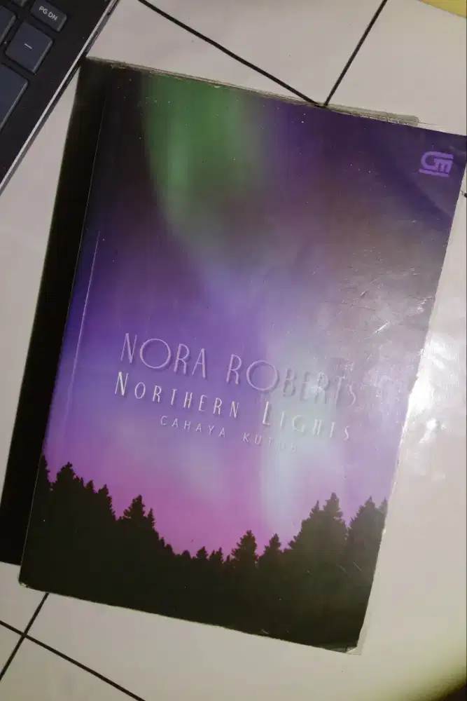 Preloved Novel Northern Lights by Nora Roberts