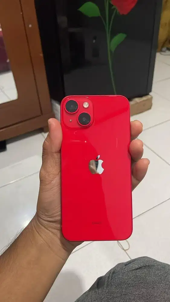 ip 14 ex ibox unit only minus baypas