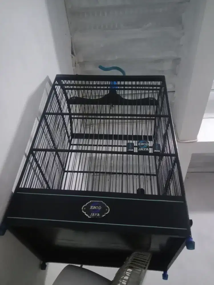 Kandang ebod msh cakep