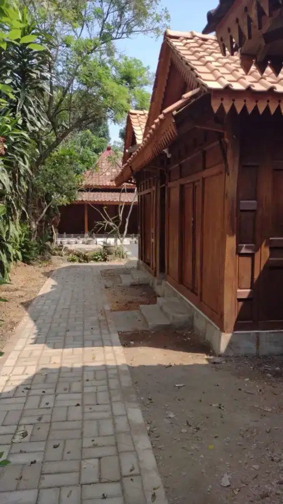 Dikontrakkan rumah Limasan jawa